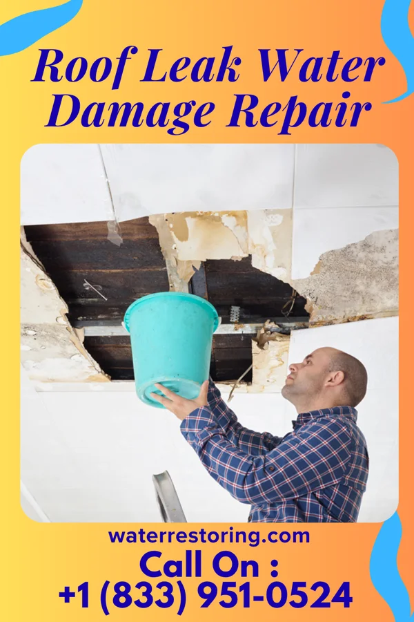 Roof Leak Water Damage Repair in Vernon, UT